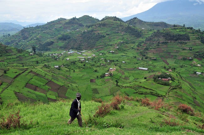 Ở đất nước Uganda, có một bộ tộc được gọi là Buganda và ngôn ngữ của họ gọi là Luganda.